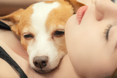 Similar image 21466549