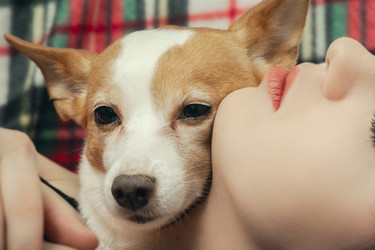 Similar image 21466550