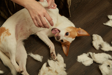 Similar image 21466551