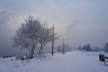 Similar image 21464985