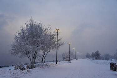 Similar image 21464987