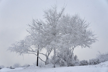 Similar image 21464995