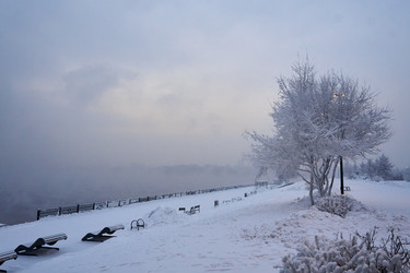 Similar image 21465000