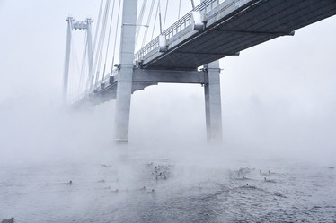 Similar image 21465003