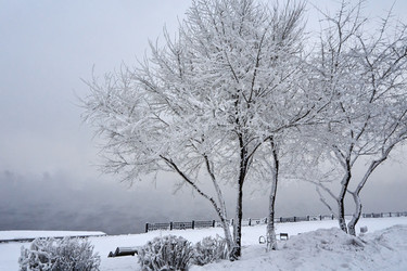 Similar image 21465011