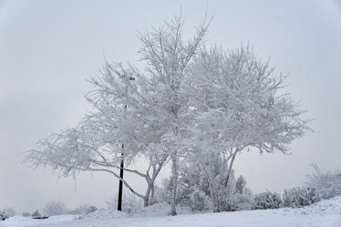 Similar image 21465013