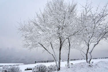 Similar image 21465015