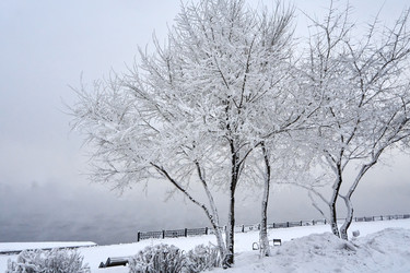 Similar image 21465017