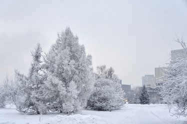 Similar image 21465019