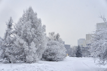 Similar image 21465021