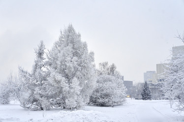 Similar image 21465025