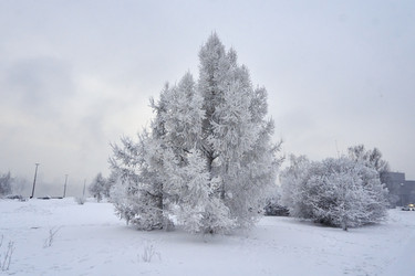 Similar image 21465033