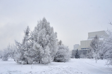 Similar image 21465036