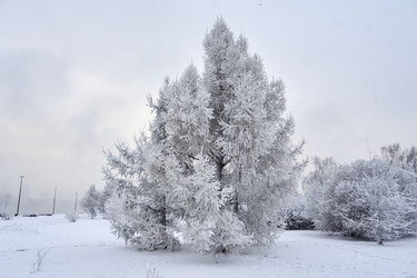 Similar image 21465038