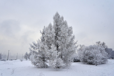 Similar image 21465041