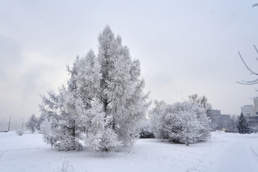 Similar image 21465043