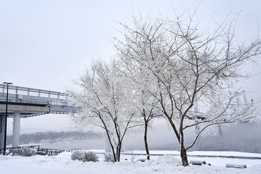 Similar image 21465050