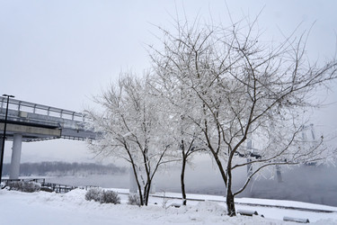 Similar image 21465052