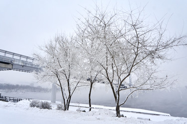 Similar image 21465054