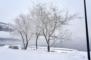 Similar image 21465202