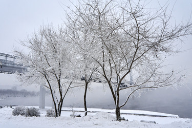 Similar image 21465204