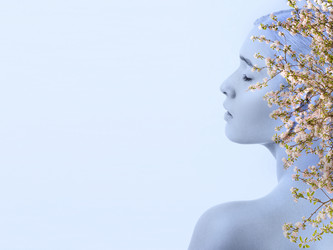 Similar image 21466632