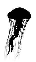 Similar image 21464912