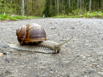 Similar image 21480317