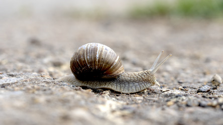 Similar image 21480318