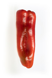 Similar image 21465310