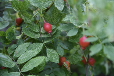 Similar image 21467325