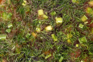 Similar image 21468309