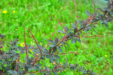 Similar image 21467328