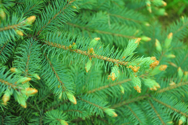 Similar image 21467329