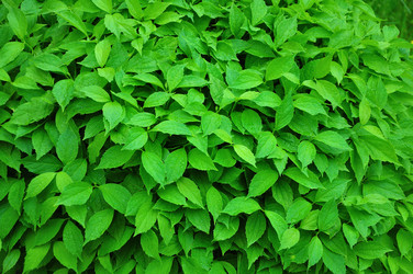 Similar image 21467333