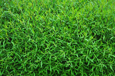 Similar image 21467334