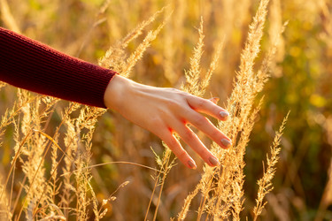 Similar image 21474915