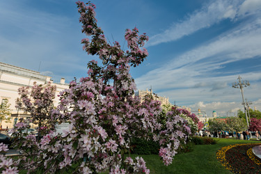 Similar image 21474765