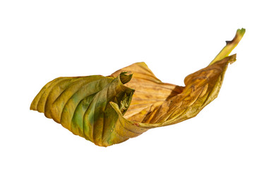 Similar image 21466712