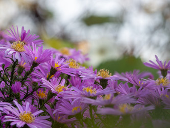 Similar image 21466714