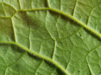 Similar image 21466715