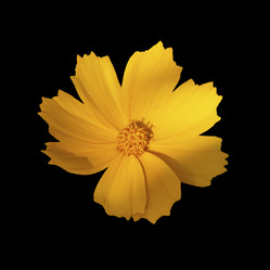 Similar image 21466721