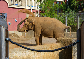 Similar image 21468478