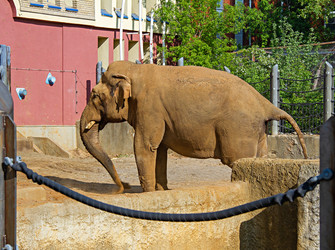 Similar image 21468479