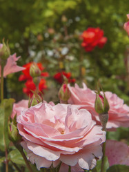 Similar image 21466722