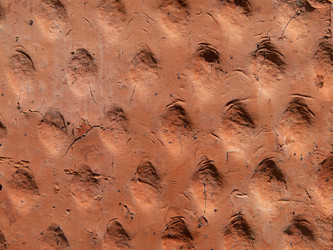 Similar image 21466725