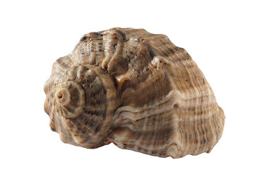 Similar image 21466726