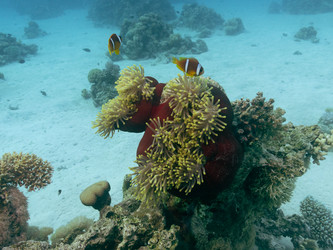 Similar image 21466732