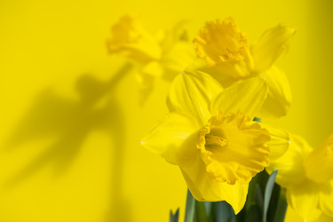 Similar image 21466736