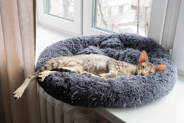 Similar image 21466737